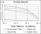 CD9 Antibody